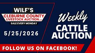 5/25/2026 - Cattle Auction - Wilf's Cleburne County Livestock Auction