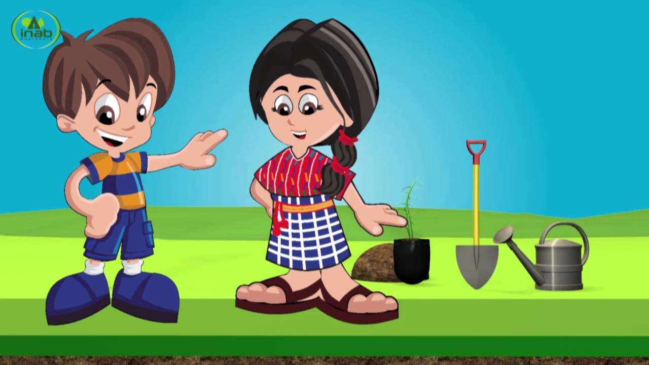 INAB INSTITUTO NACIONAL DE BOSQUES - YouTube