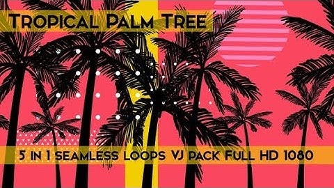 Tropical Palm Tree VJ Loops (Motion Graphics)