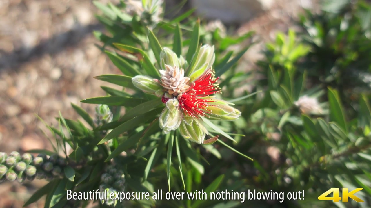 Sony RX100 M5 Best Video Settings