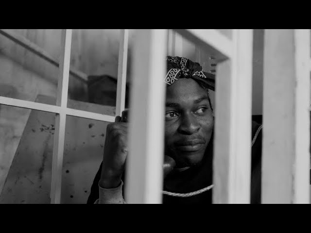 Watch Evolution, Pt. 2 on YouTube Watch Evolution, Pt. 2 on YouTube