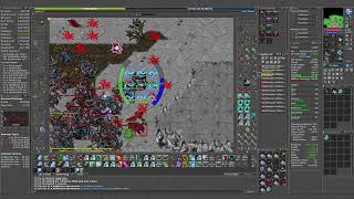 TIBIA SOLO DRUID - AZZILON CASTLE -4 CATACOMBS(7.2KK / 1.75KK RAW)
