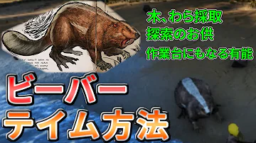 تحميل カストロイデス