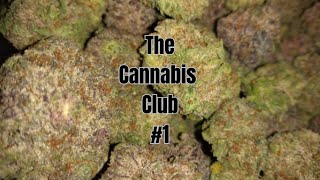 The Cannabis Club #1 - Schwigg 