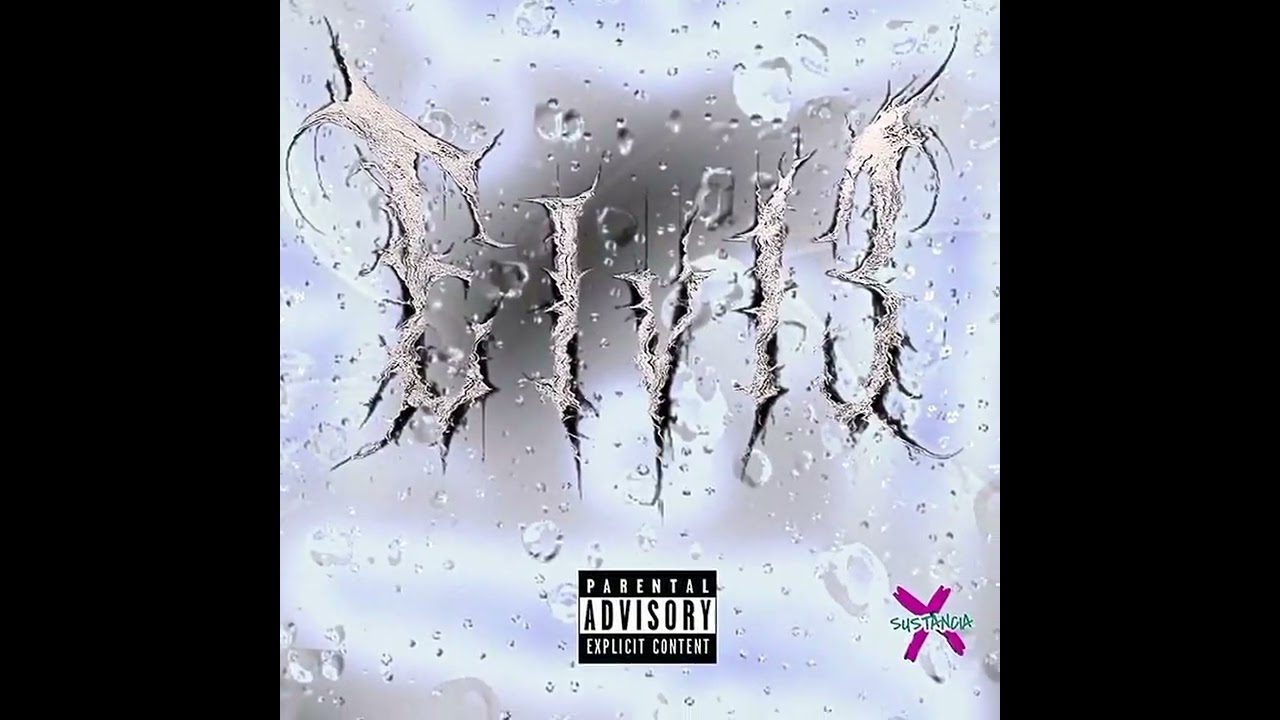 En Mi Viaje. Elvl3 feat. SustanciaXmusic.