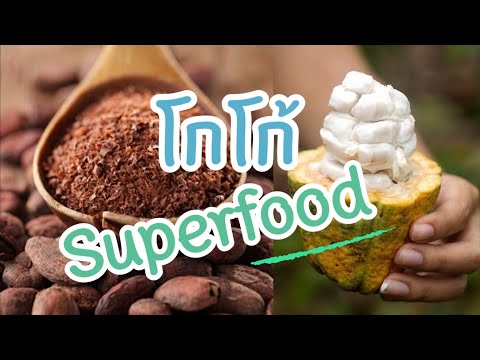 โกโก้สุดยอดอาหารบำรุงสมอง | Cocoa Superfood | ประโยชน์ของโกโก้ | Superfood | สุดยอดอาหาร