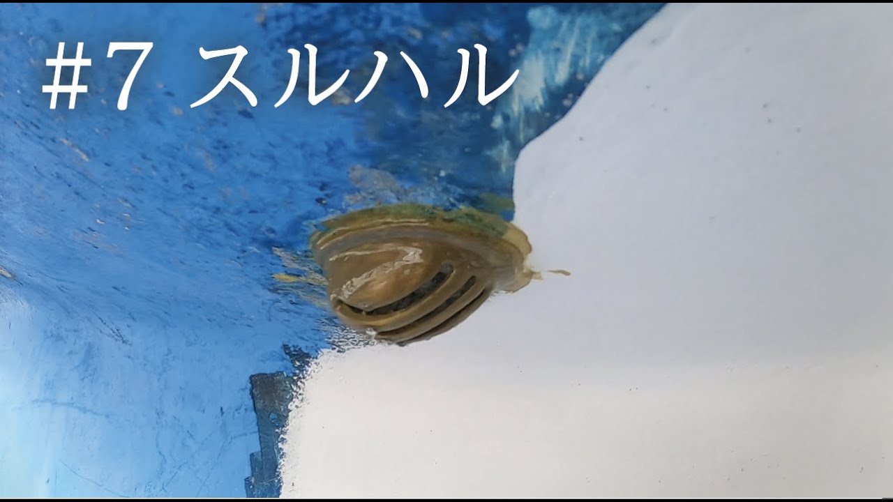 【ヨットで必須のメンテナンス】ヨットのメンテナンス７