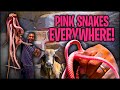 PINK SNAKES EVERYWHERE! RELEASING COACHWHIP SNAKES | THE REAL TARZANN