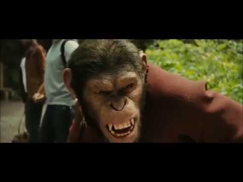 CAESAR IS HOME - RISE OF PLANET APE MUSIC VIDEO