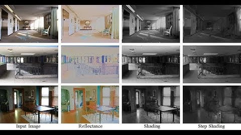 Intrinsic Image Decomposition with Step and Drift Shading Separation