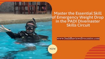 How to Perform an Emergency Weight Drop 🤿 PADI Divemaster Skills Circuit