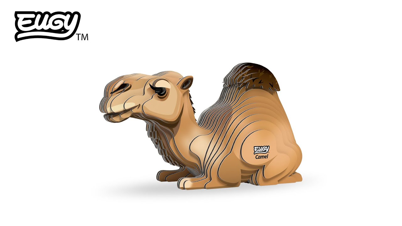 136 Camel – EUGY