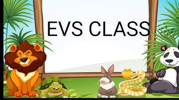 Animals Around Us ll EVS ll Class 1 ll NCERT/ Wild,  Domestic,  Water Animals