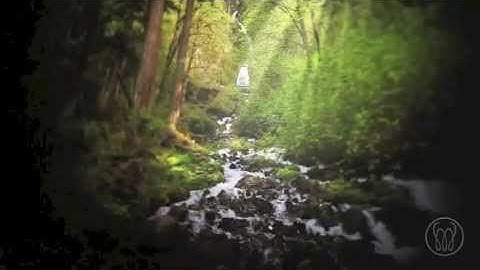 Onyx Coale First Look