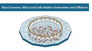 Interface | Blue Economy Tech: Why Load Cells Matter Underwater and Offshore