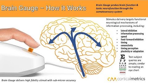 Brain Gauge how it works