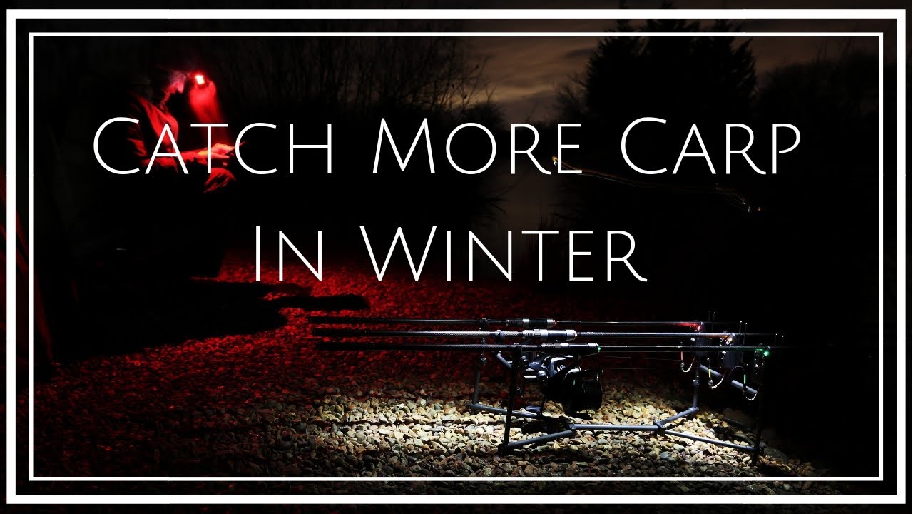 CARP FISHING Winter Weather and Carp Location (up your catch rate