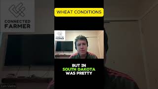 What US State has the Worst Drought for Wheat?  #agriculturalprices  #commodityprices #wheat