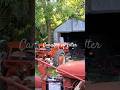 #rurallife#homestead#garden#agriculture#agro#farming#farmer#farm#dailyshorts#daily#nature#family#diy