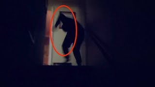 We finally see something... | A NEW SEASON | Season 24