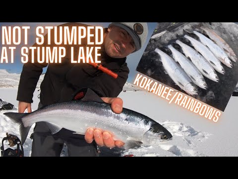 KOKANEE and TROUT ICE FISHING ADVENTURE (Jigging Jaw Jacker)