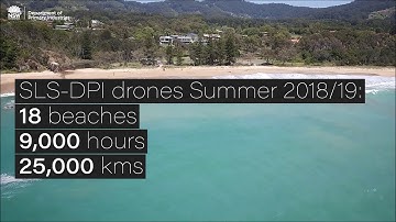 Shark Management Strategy - How are drones being used to detect sharks?