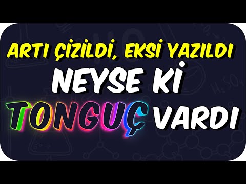 Artı Çizildi, Eksi Yazıldı! | Tam Sayılar Şarkısı 🎵