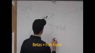 Alpha2 Autonomic Receptor Mnemonic Video