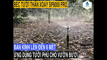 Béc tưới SP8000 PRO 250lit/h  ứng dụng tưới phủ cho cây bưởi