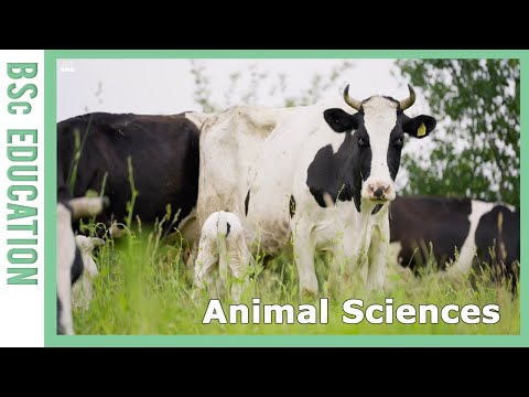 Is Animal Science Hard To Study