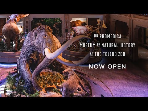 Kroger Toledo Zoo Tickets 2023 74