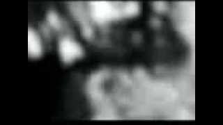 Felt ft. Liz Fraser - Primitive Painters