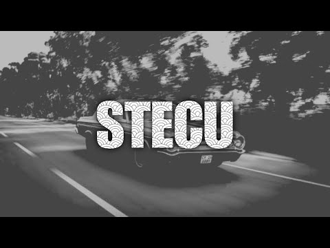 Lagu joget - Stecu stecu || Lagu joget terbaru stecu stelan cuek 2025