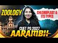 CUET PG Zoology 2027 | CUET PG Zoology Chloroplast and Its Types | CUET PG Zoology