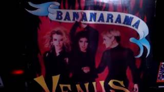 Bananarama - Venus 12\