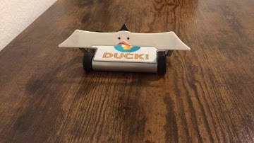 Battle bot hexbug Duck! Overview