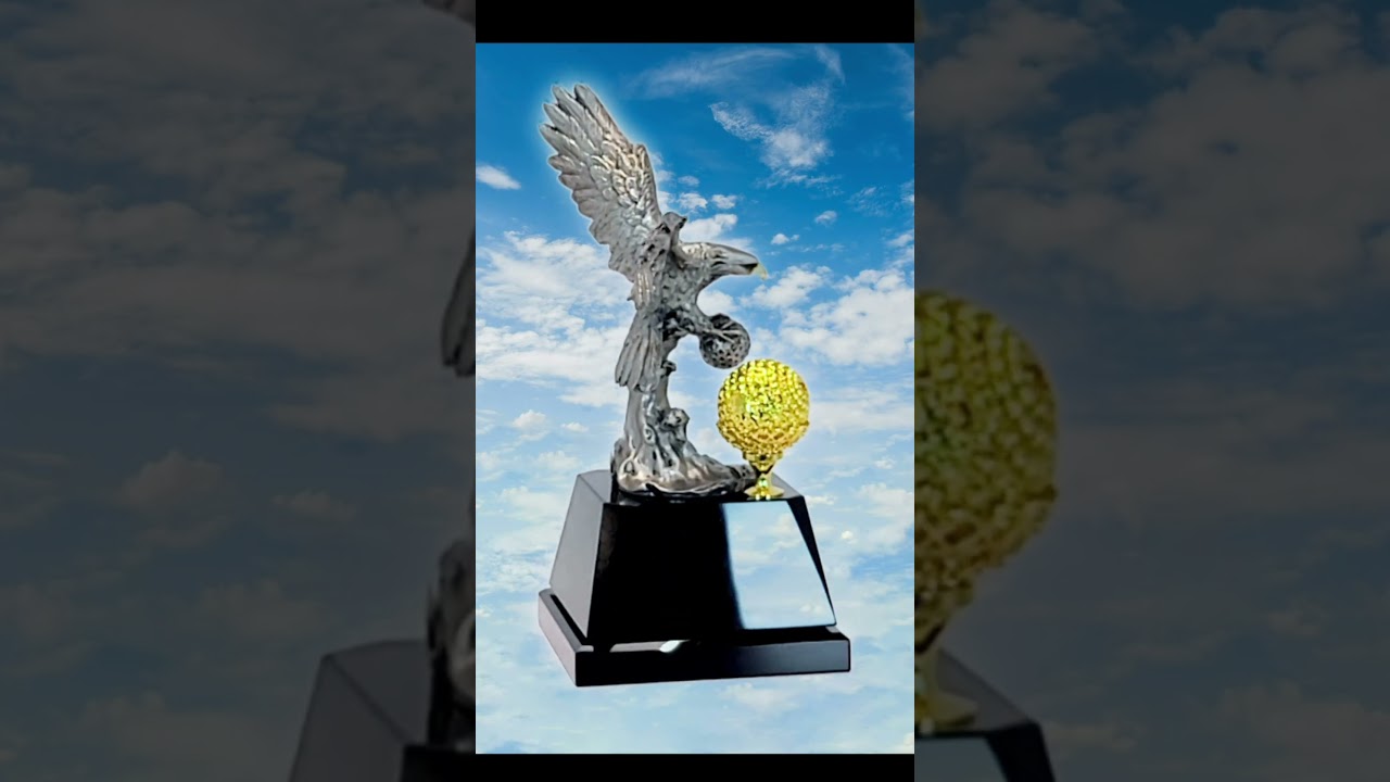 나의트로피 이글기념패 싱글패 이글패 홀인원패 HT370-3