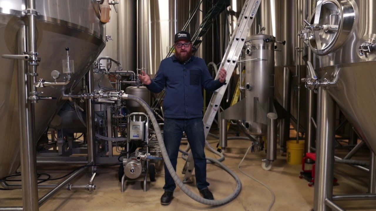 Picking the Right Yeast and then Dry Hopping Your New England-Style IPA Picking the Right Yeast and then Dry Hopping Your New England-Style IPA