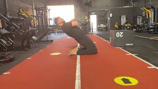 Reverse Nordic (eccentric only)