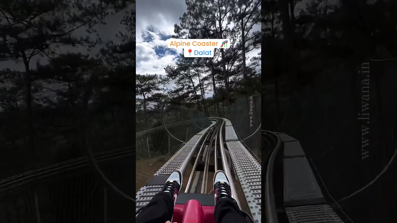 Top 6 Must-Do Activities in Vietnam 🇻🇳 