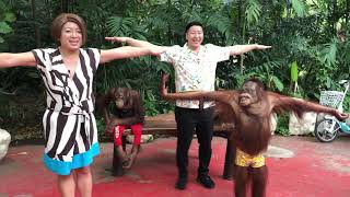 【TT】TT Brothers Thailand