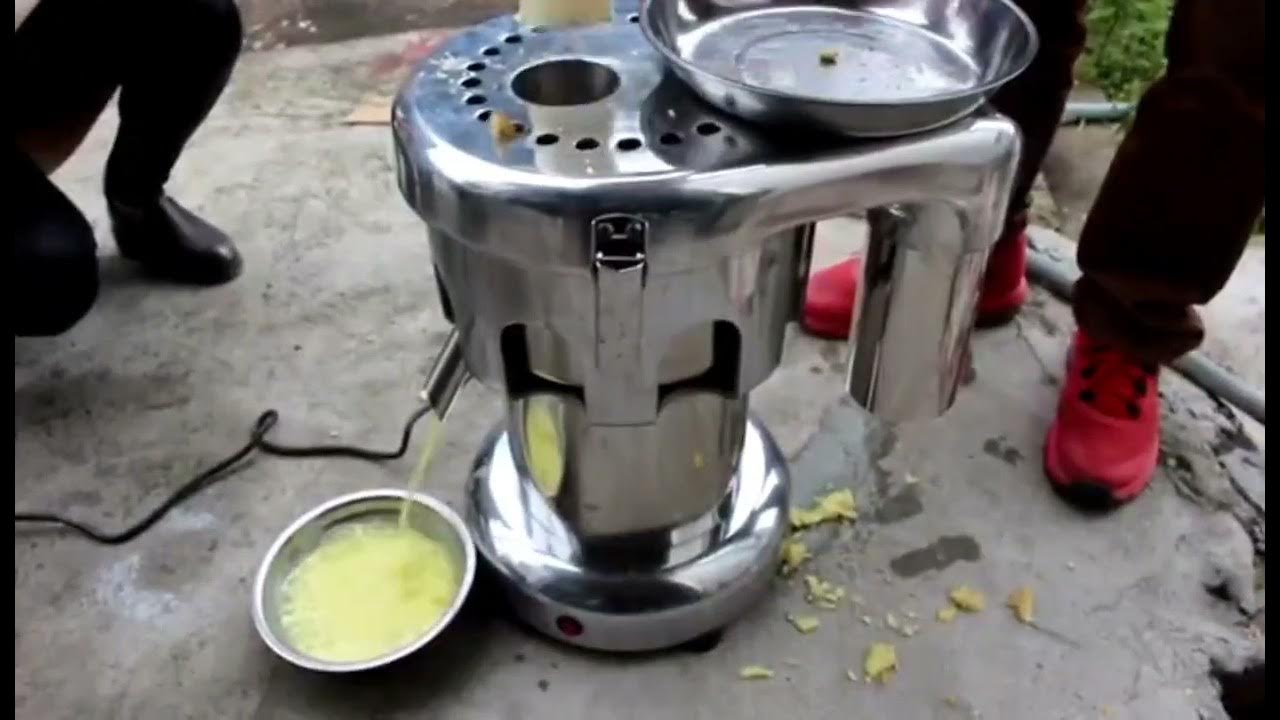 Ginger juicer whatsupp 8613122871709 YouTube