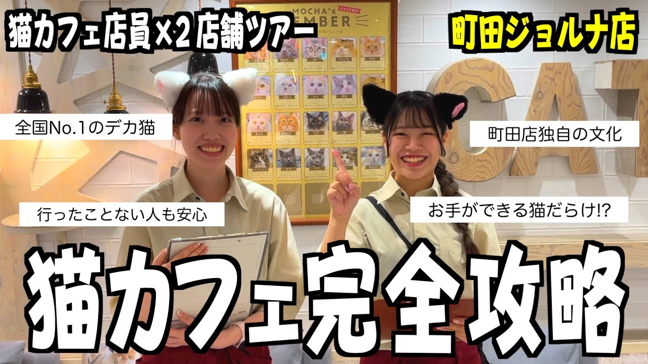 町田ジョルナ店｜猫カフェ MOCHA(モカ)