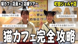 町田ジョルナ店｜猫カフェ MOCHA(モカ)