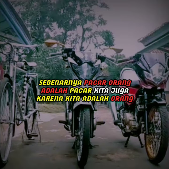 Story Wa_BUNGA MAWAR MERAH