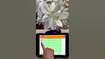 RAINDROPS ON A PLANT. Touchchat WordPower 42 Basic. Activate on release.