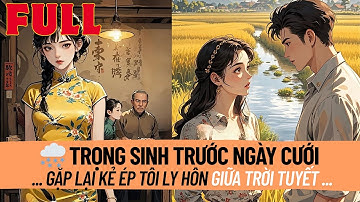 Trọng Sinh Về Trước Ngày Cưới, Tôi Gặp Lại Người Từng Ép Tôi Ký Đơn Ly Hôn Giữa Trời Tuyết. Lần Này,