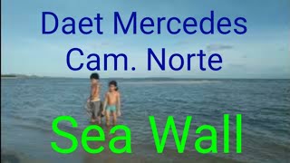 Sea Wall Daet Mercedes Camarines Norte