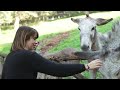Visita il Parco Giardino Sigurtà con chi ami - Consigli per una visita di coppia