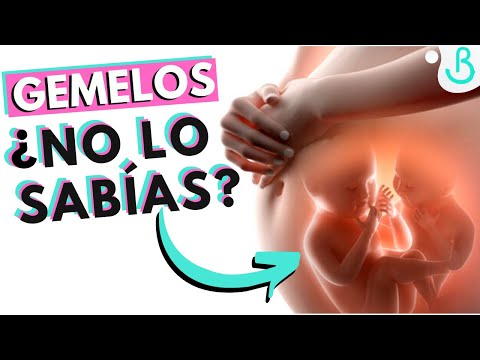 Video: ¿Los mellizos maduran más rápido que los únicos?